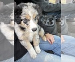 Small #15 Breeder Profile image