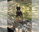 Small #5 Breeder Profile image