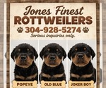 Small Photo #6  Breeder Profile in GILBERT, WV, USA
