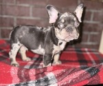 Small #4 Breeder Profile image