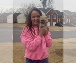 Small #34 Breeder Profile image
