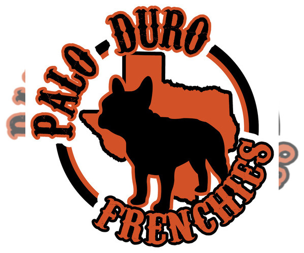 Medium Photo #1  Breeder Profile in AMARILLO, TX, USA
