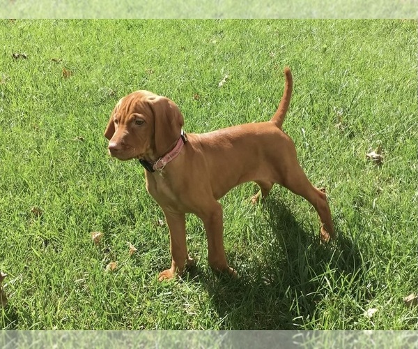 Medium Photo #7  Breeder Profile in GREENFIELD, IA, USA