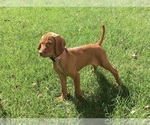 Small #6 Breeder Profile image