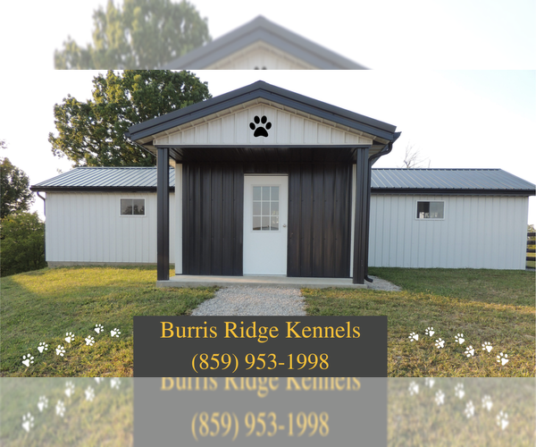 Medium Photo #1  Breeder Profile in CARLISLE, KY, USA