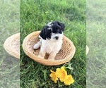 Small #1 Breeder Profile image