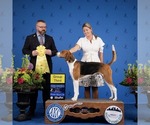 Small #11 Breeder Profile image