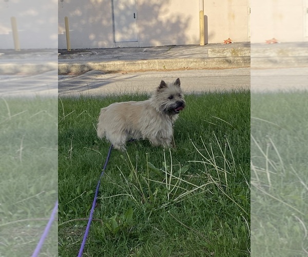 Medium Photo #7  Breeder Profile in ROCKFORD, IL, USA