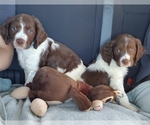Small #9 Breeder Profile image
