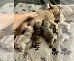 Small #27 Breeder Profile image