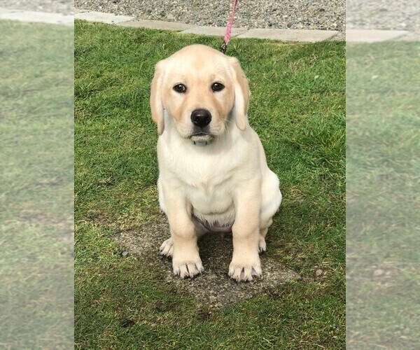 Medium Photo #1  Breeder Profile in ELMA, WA, USA