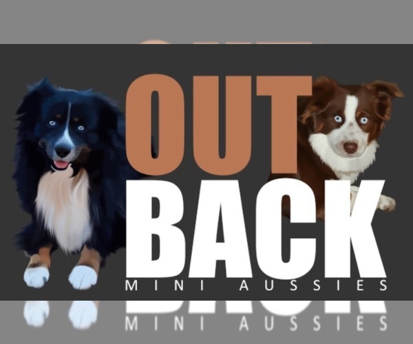 Medium Photo #1  Breeder Profile in RANGER, TX, USA