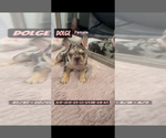 Small #5 Breeder Profile image