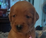 Small #2 Breeder Profile image