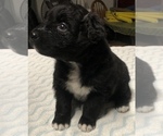 Small #47 Breeder Profile image
