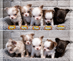 Small #18 Breeder Profile image