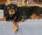 Small #3 Breeder Profile image