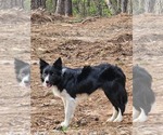 Small #2 Breeder Profile image