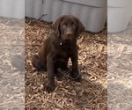 Small #5 Breeder Profile image