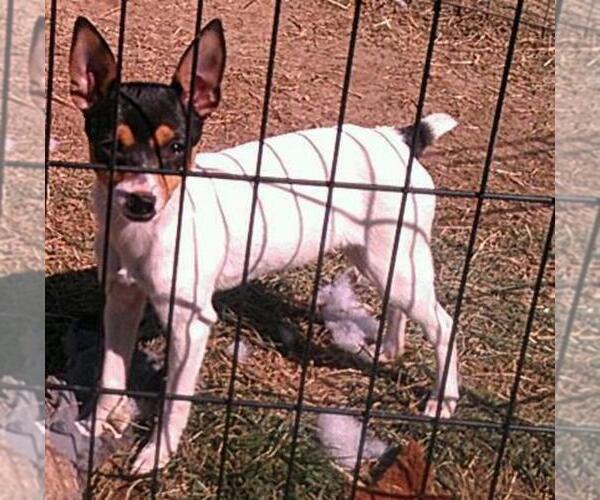 Medium Photo #1  Breeder Profile in PROVDENCE FRG, VA, USA