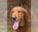 Small #4 Breeder Profile image