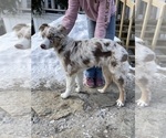Small #7 Breeder Profile image