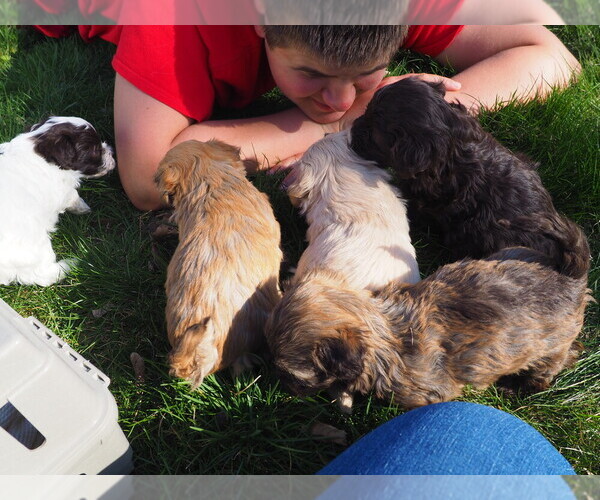Medium Photo #1  Breeder Profile in PORTLAND, MI, USA