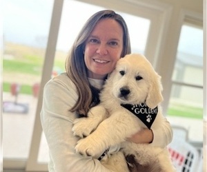 English Cream Golden Retriever Dog Breeder near SPOTSYLVANIA, VA, USA