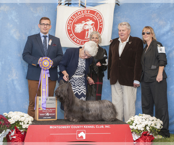 Medium Photo #7  Breeder Profile in LAKESIDE, CA, USA