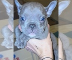 Small #13 Breeder Profile image