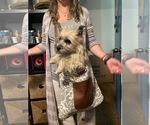 Small #45 Breeder Profile image