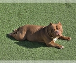 Small #19 Breeder Profile image