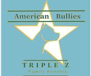 American Bully Dog Breeder in NAUGATUCK,  USA