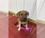 Small #8 Breeder Profile image