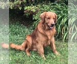 Small #15 Breeder Profile image