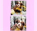 Small #5 Breeder Profile image