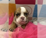 Small #6 Breeder Profile image