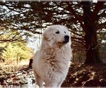 Small #23 Breeder Profile image