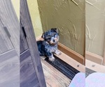 Small #7 Breeder Profile image