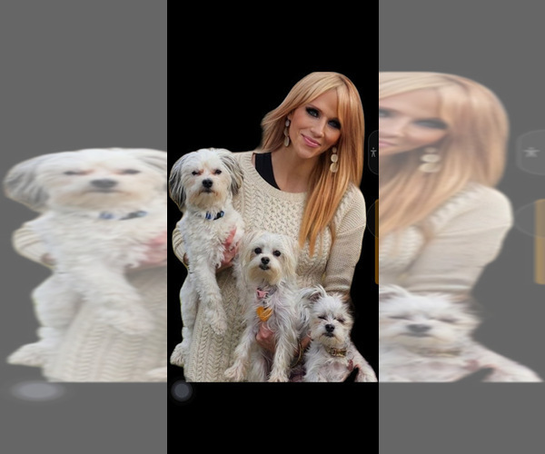 Medium Photo #7  Breeder Profile in FARMINGTON, MN, USA