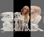 Small #6 Breeder Profile image