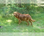 Small #2 Breeder Profile image