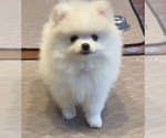 Small #2 Breeder Profile image
