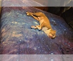 Small #3 Breeder Profile image