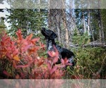 Small #17 Breeder Profile image