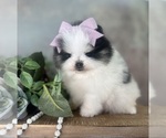 Small #27 Breeder Profile image