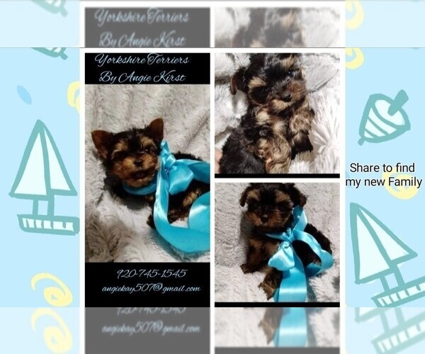 Medium Photo #1  Breeder Profile in RIPON, WI, USA