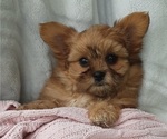 Small #24 Breeder Profile image
