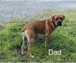 Small #13 Breeder Profile image