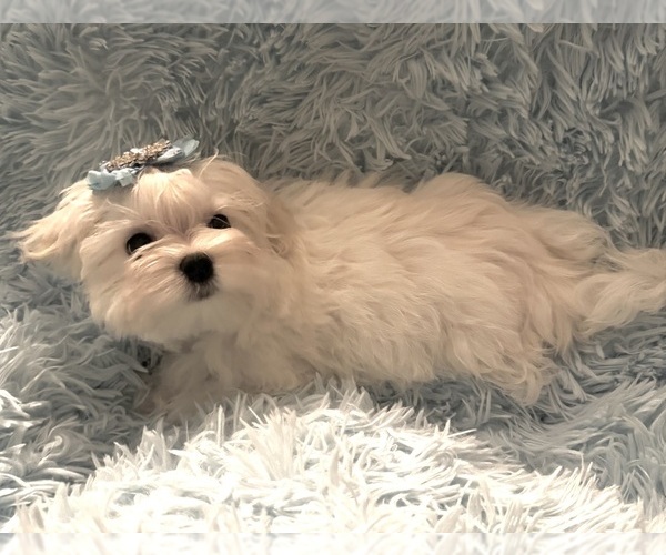 Medium Photo #2  Breeder Profile in LOCKPORT, LA, USA